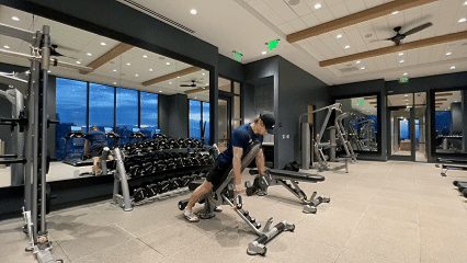Incline Dumbbell Row demonstration