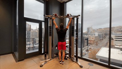 Standard Pull-Up demonstration