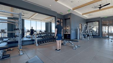 Dumbbell Shrug demonstration